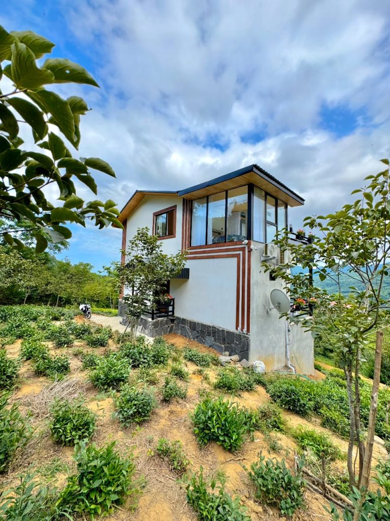 b41d99f8-c55e-47d9-ac67-70136e4af8d4