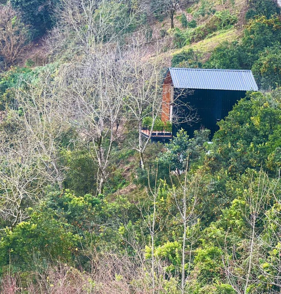 photo_2026-02-18_13-54-22